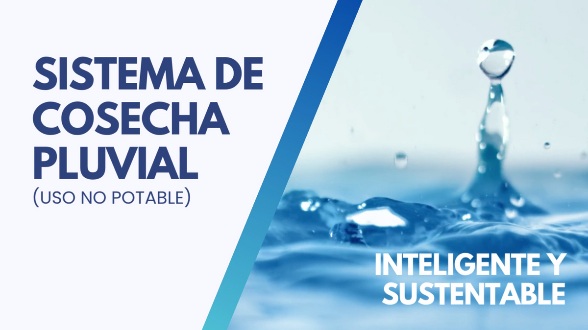 Cargar video: 