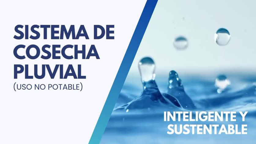 Cargar video: 